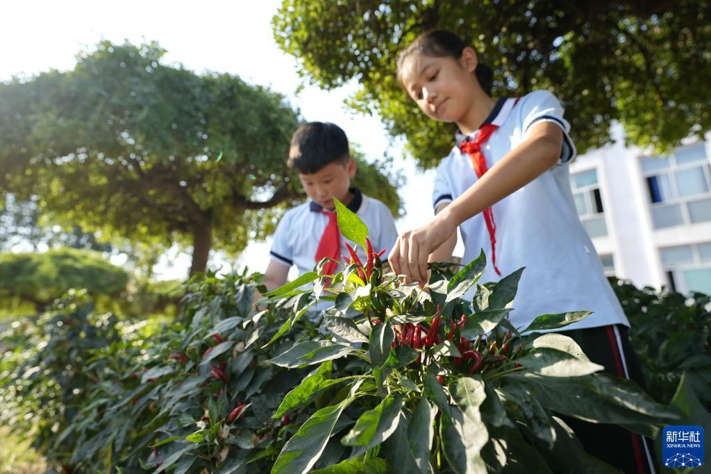 众发178下载